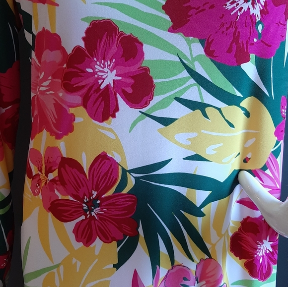 NWT! Pappagallo The Erin Dress Floral Pattern - Picture 6 of 10